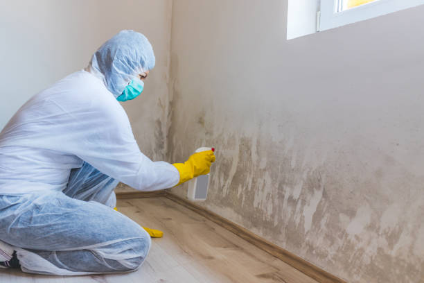 Licensed Mold Remediation service in Clifton, TX - 24 Hour Mold Removal