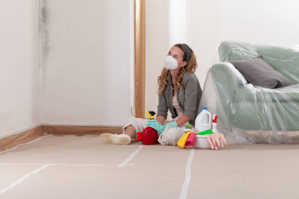 Reliable Mold Remediation contractor in Clifton, TX by 24 Hour Mold Removal